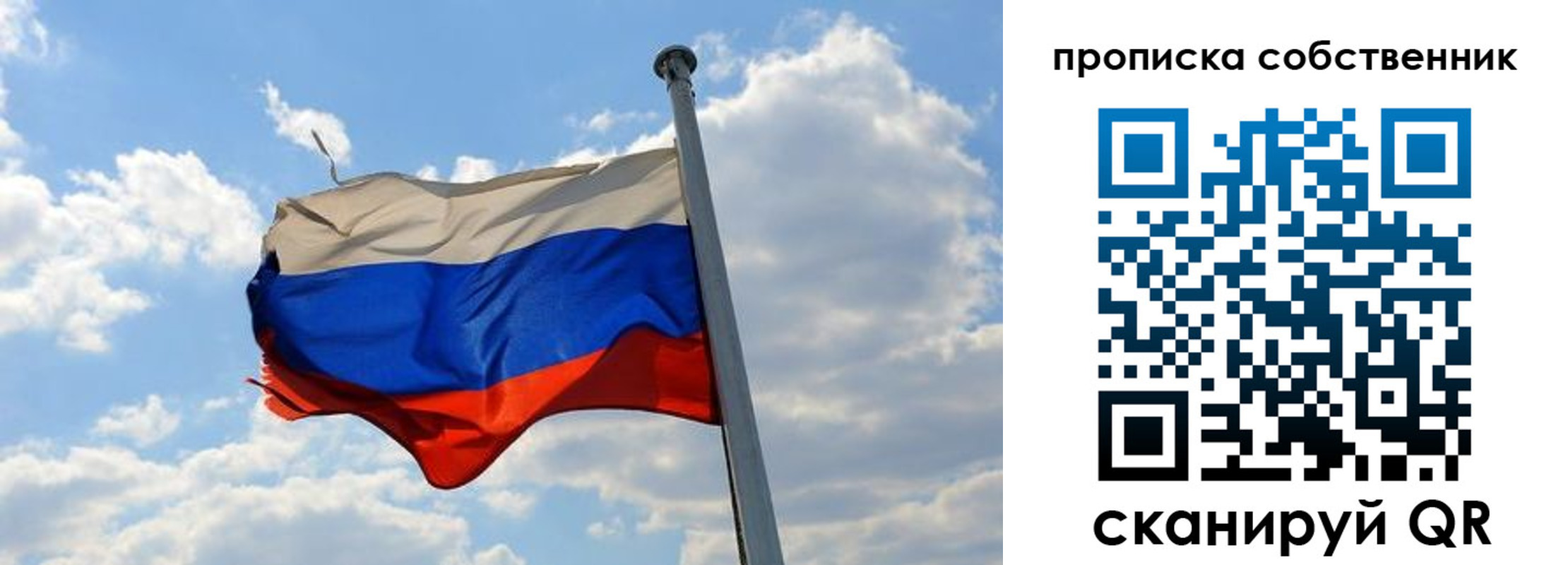 прописка поиск в Домодедово