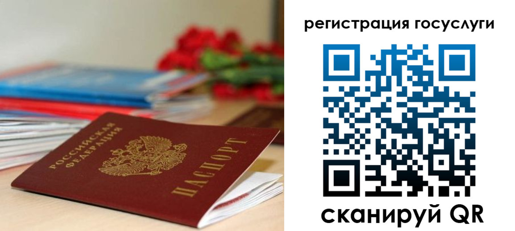 прописка 2025 в Домодедово
